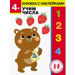 Книга СТРЕКОЗА Другая заря