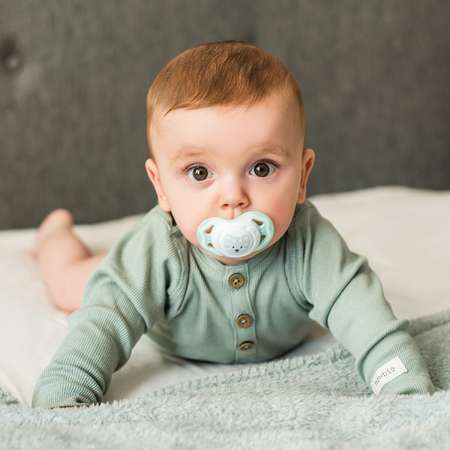 Пустышка Babyono от 6 мес. 2 шт.