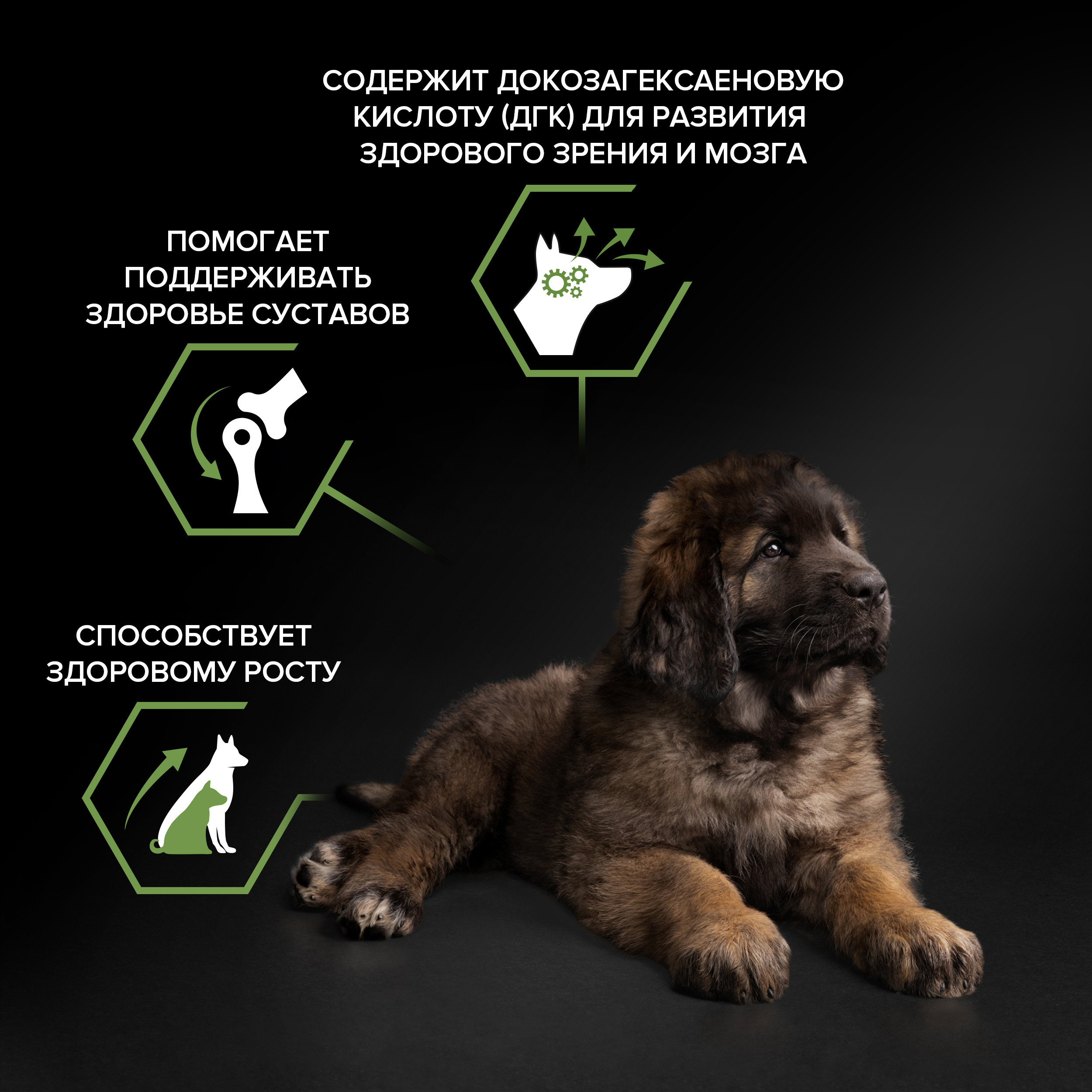 Корм для щенков PRO PLAN крупных пород с мощным телосложением с комплексом Optistart курица с рисом 12кг - фото 3