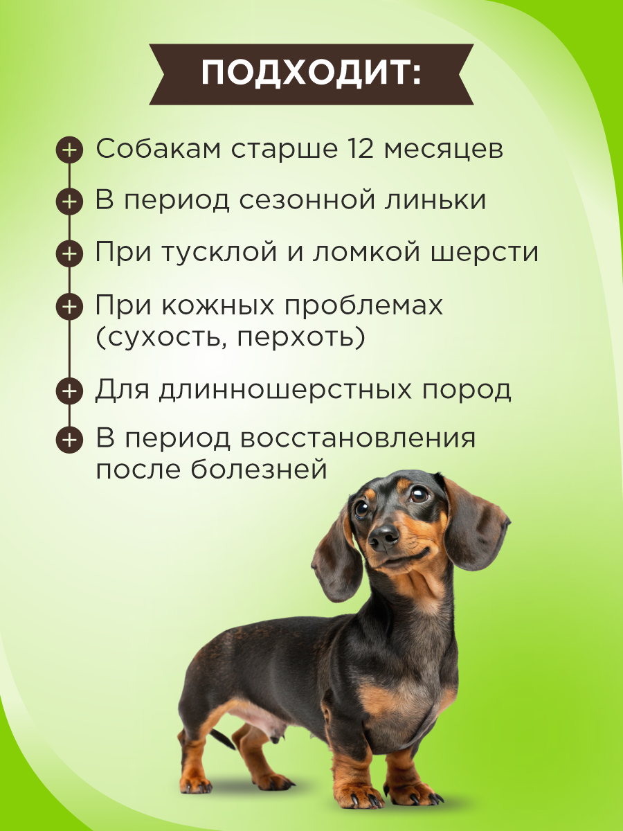 Полезное лакомство для собак GOODR DOG Здоровье кожи и шерсти 90 таблеток - фото 2