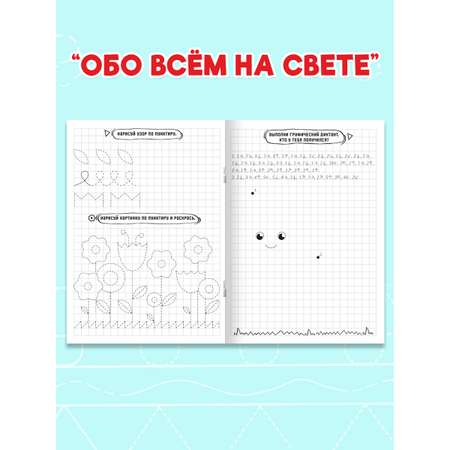 Прописи Проф-Пресс графические диктанты. Набор из 4 шт. по 16 стр. А5.