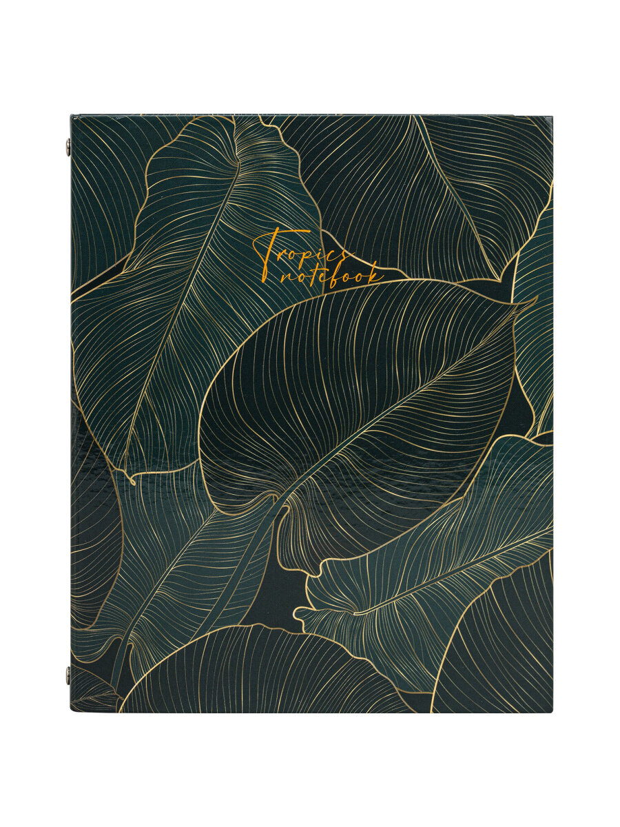 Тетрадь со сменным блоком Brauberg клетка 240 лист. - фото 4