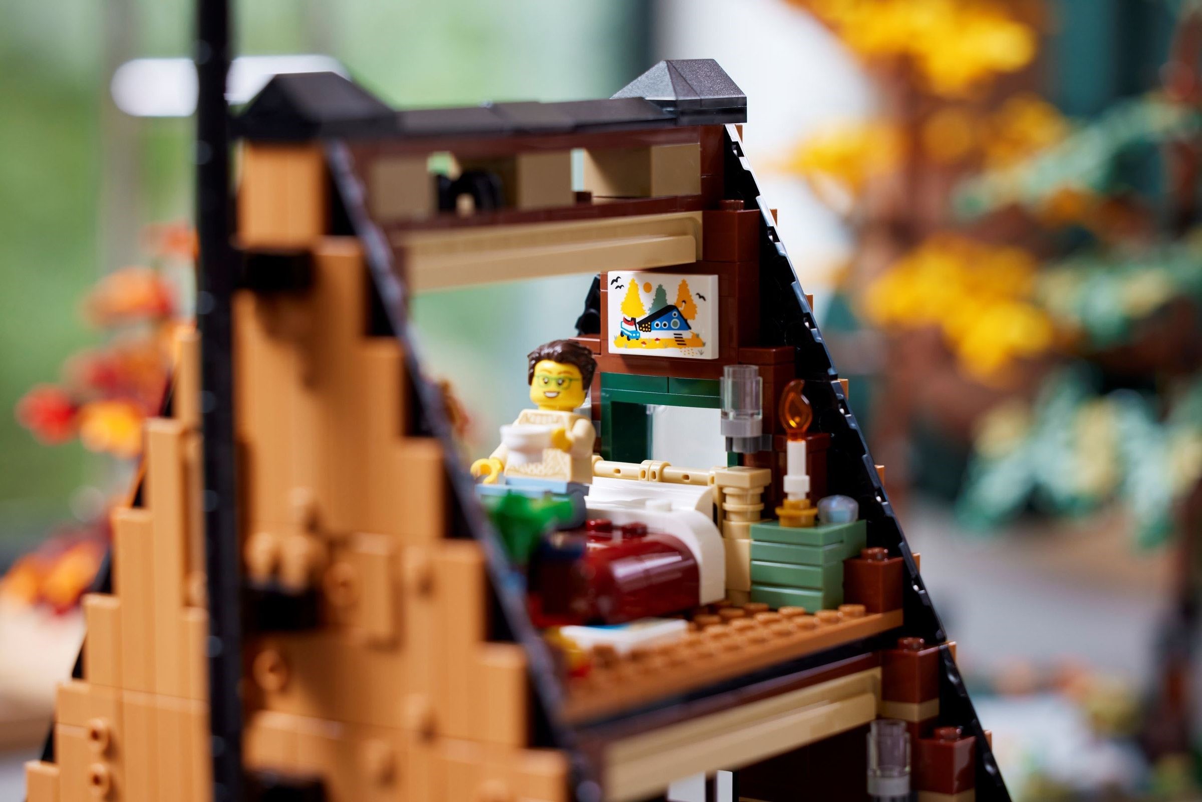 Конструктор LEGO Ideas 2082 дет. - фото 6