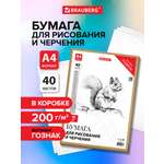 Ватман Brauberg 40 лист.