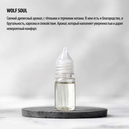 Заправка для ароматизаторов CAROMIC WOLF SOUL 10 мл