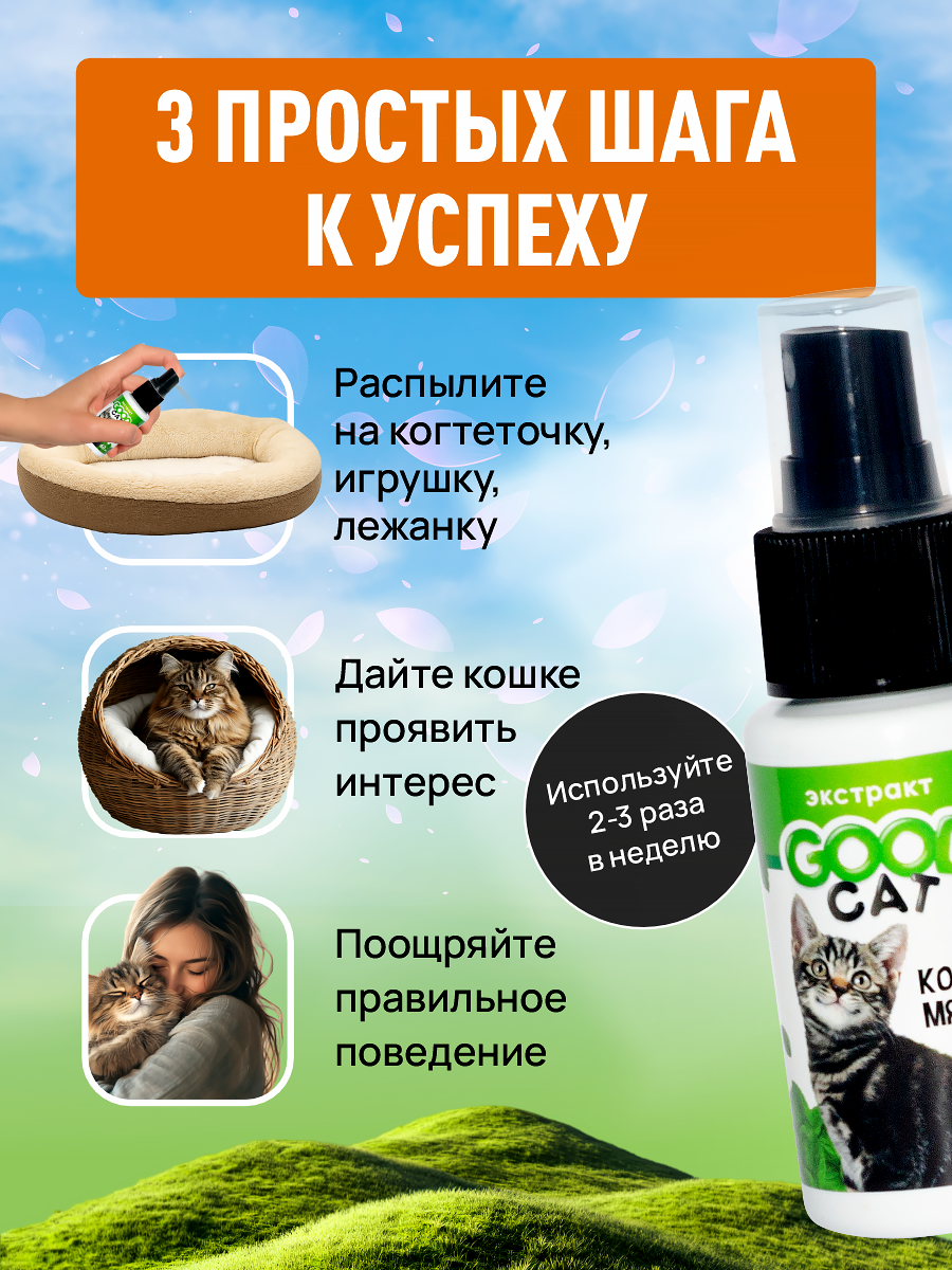 Спрей с кошачьей мятой GOODR Cat для коррекции поведения 50мл - фото 4