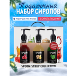 Набор сиропов SPOOM Имбирь Малина Мята для чая и коктейлей 3шт 250мл + 3 дозатора