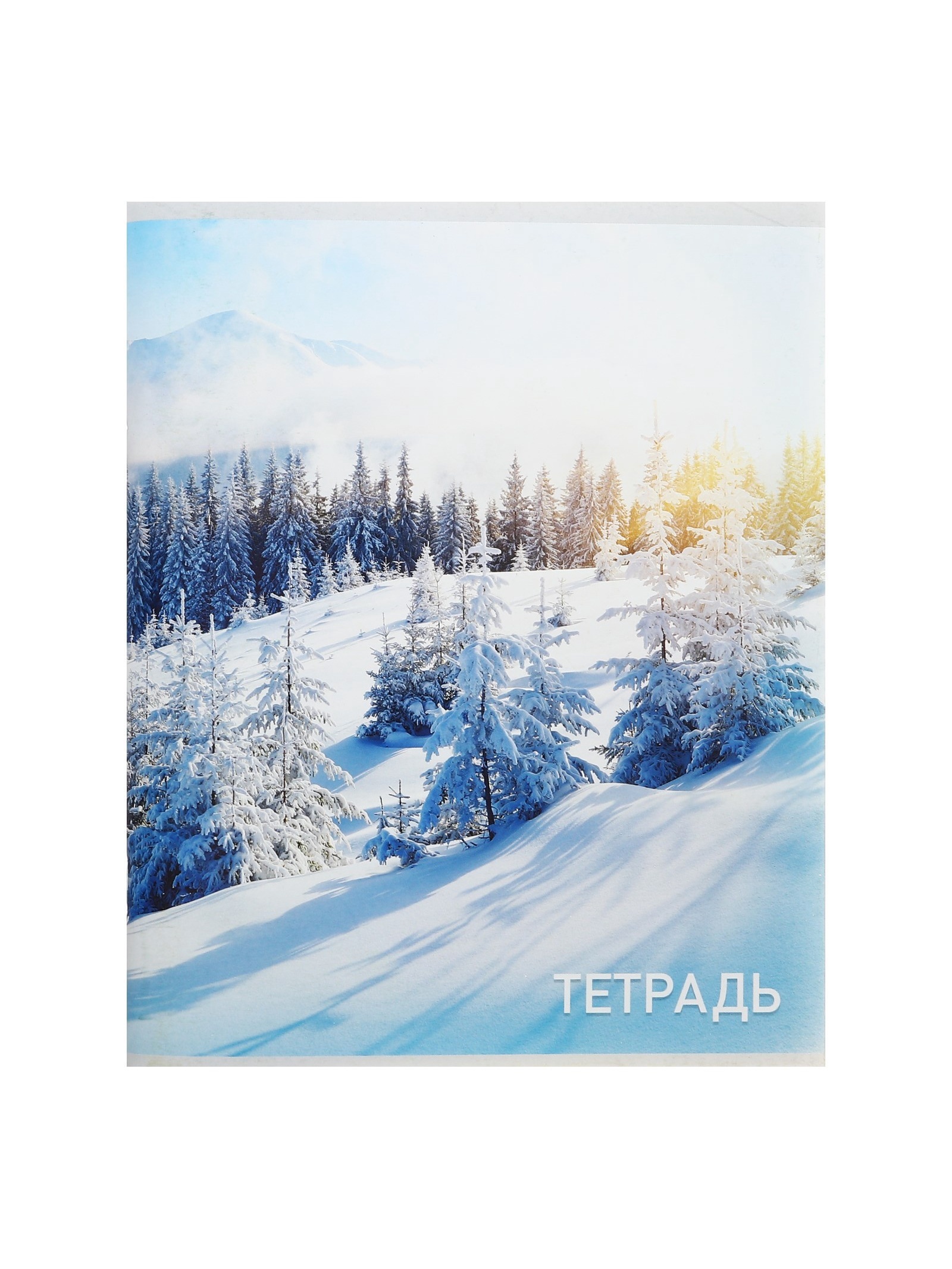 Тетрадь Calligrata клетка - фото 9