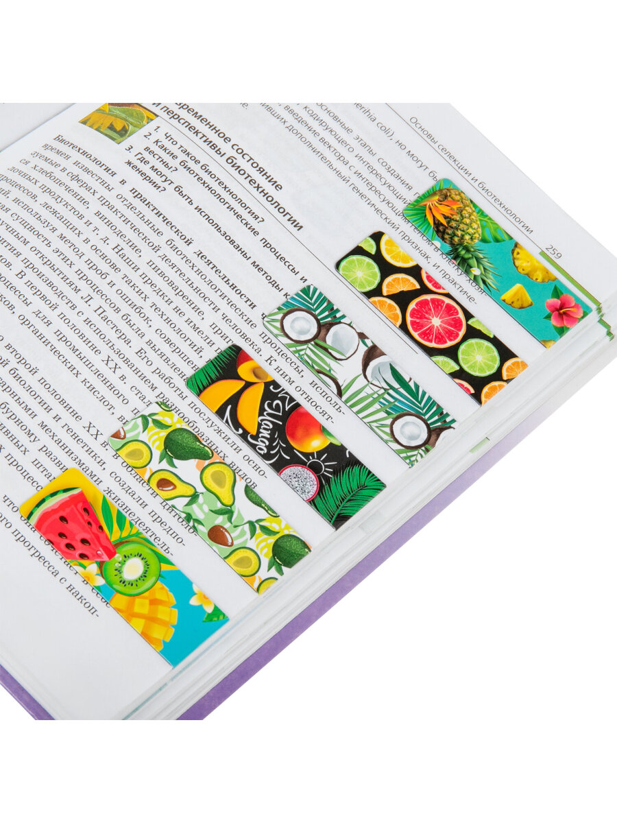 Магнитная закладка Brauberg 12 шт. - фото 13