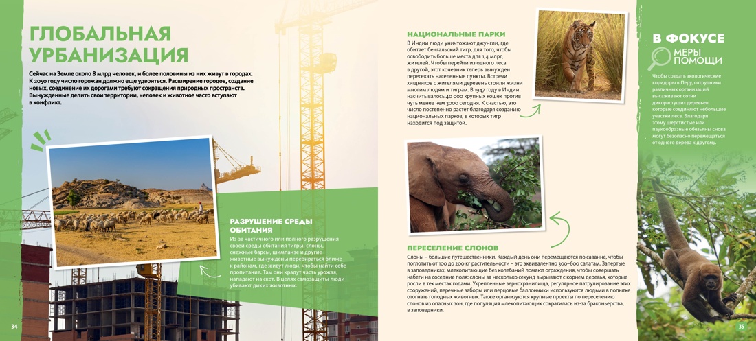 Книга Махаон S.O.S. Красная книга - фото 6