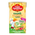 Кашка Сады Придонья безмолочная из злаков с яблоком бананом и малиной обогащённая пребиотиком 125г