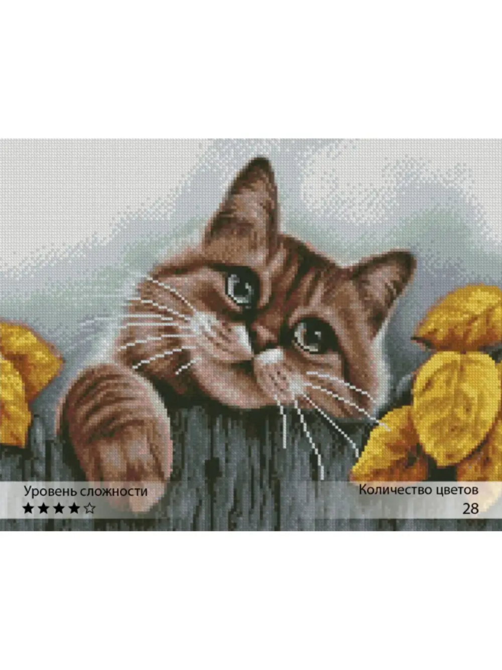 Алмазная мозаика Ты Гений! - фото 1