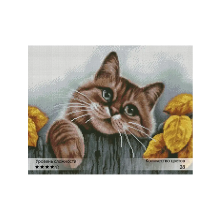 Алмазная мозаика Ты Гений!