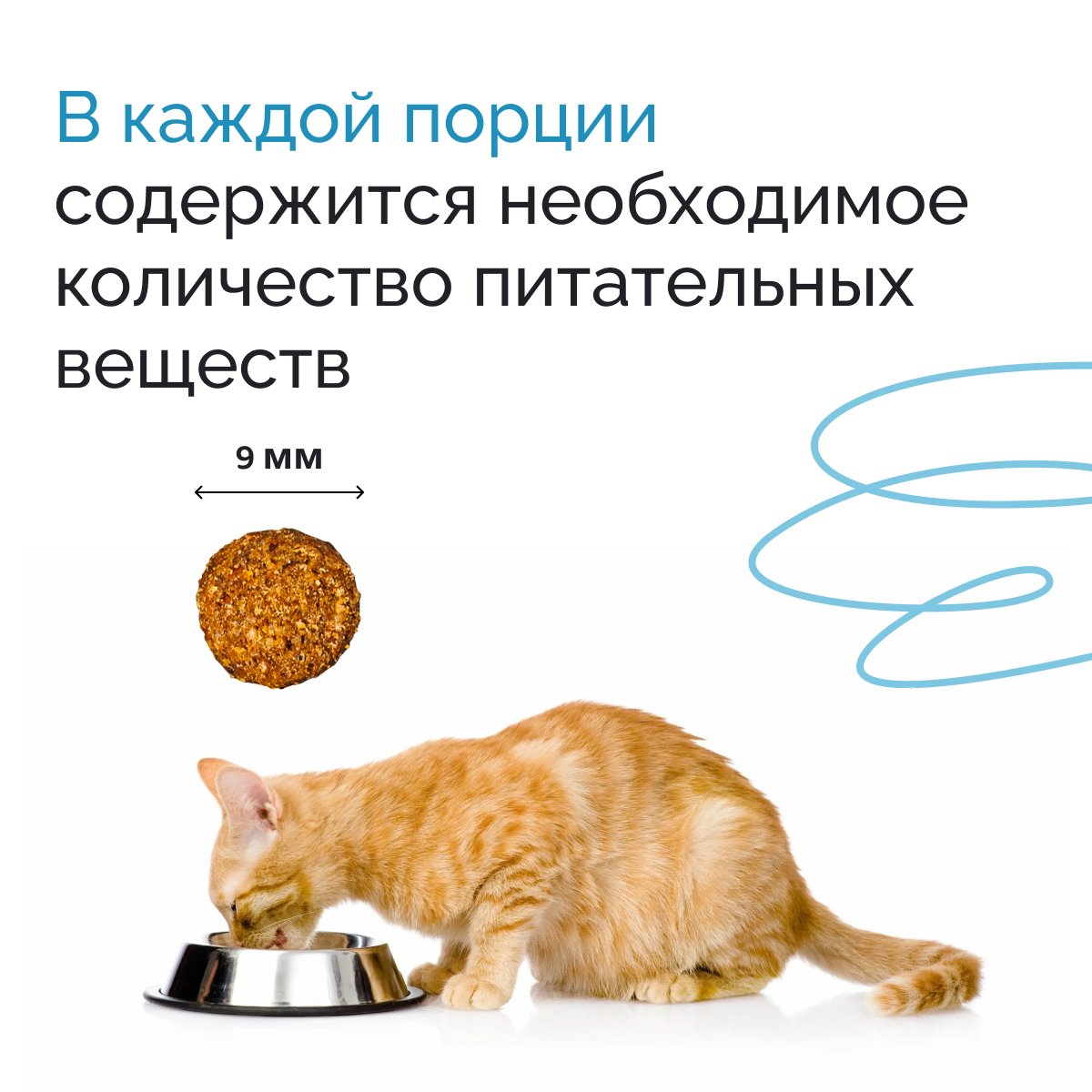 Корм сухой MYSTICAT с курицей и рисом 2 кг - фото 6