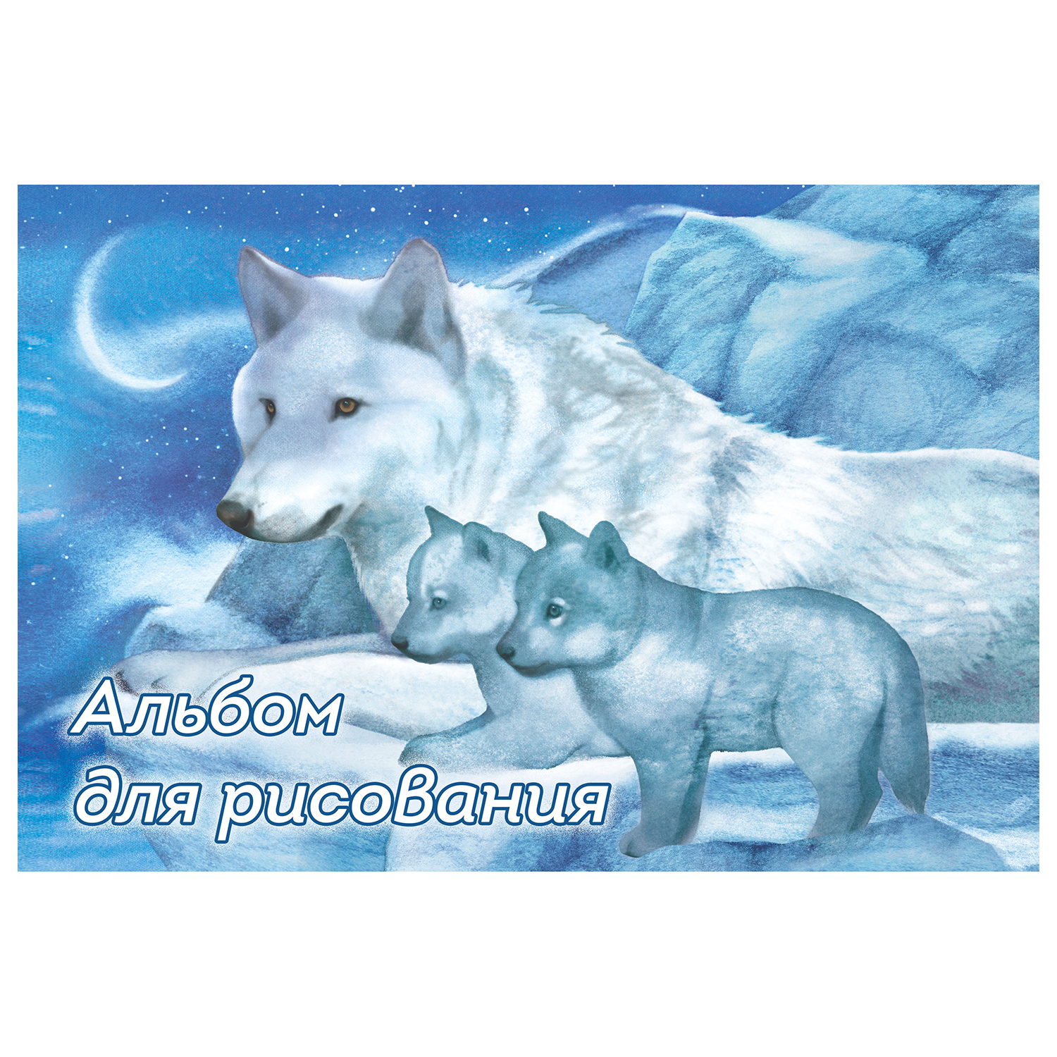 Альбом Полиграф Принт А4 40 лист. в ассортименте - фото 2