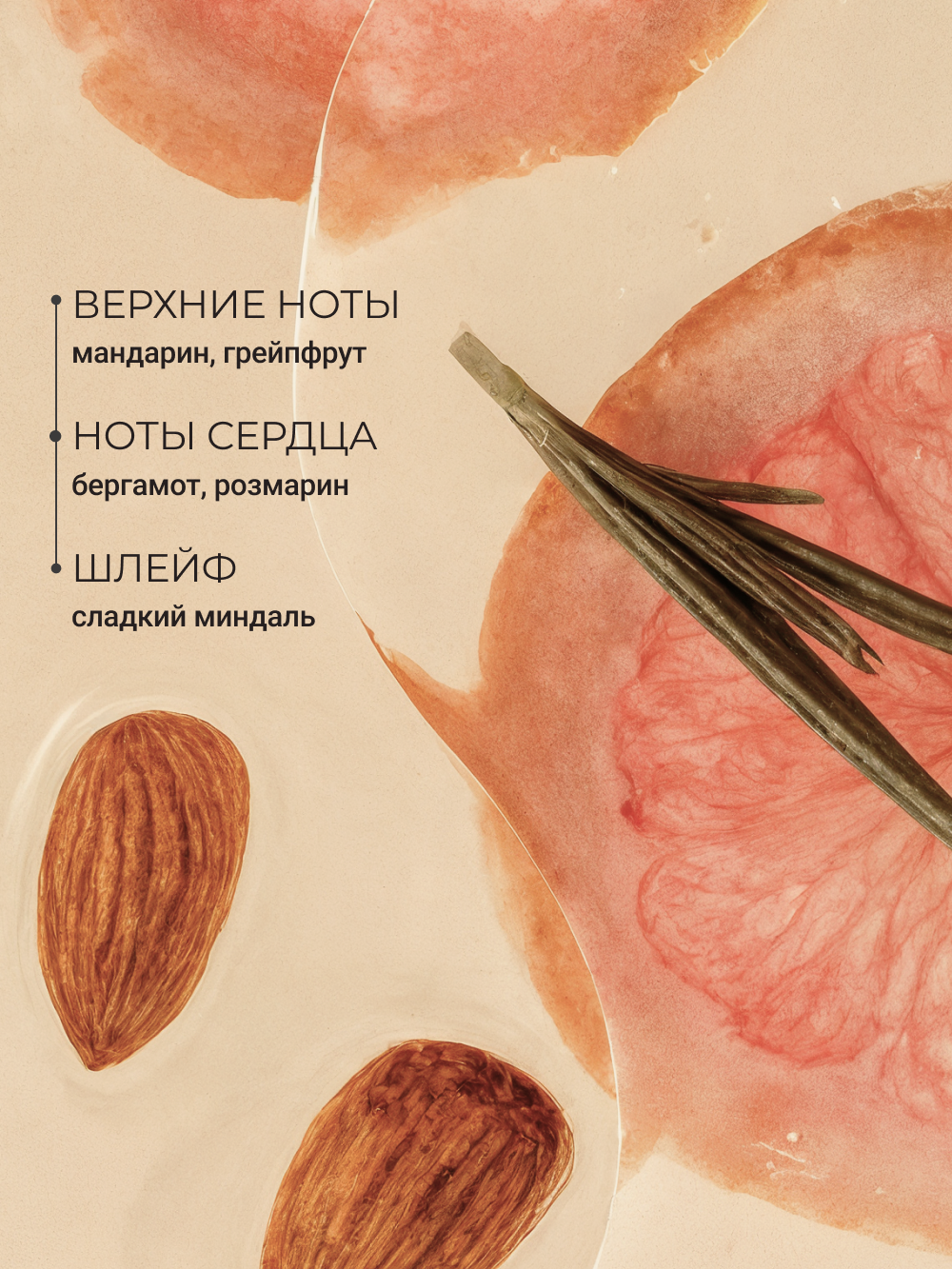 Масло Zeitun Марокканский полдень 200 мл - фото 4