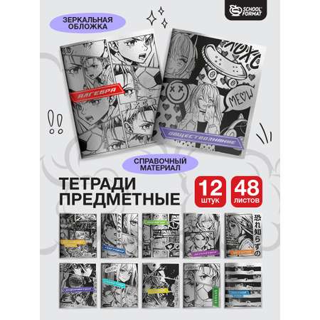 Тетрадь SCHOOLFORMAT 48 лист. 12 шт.