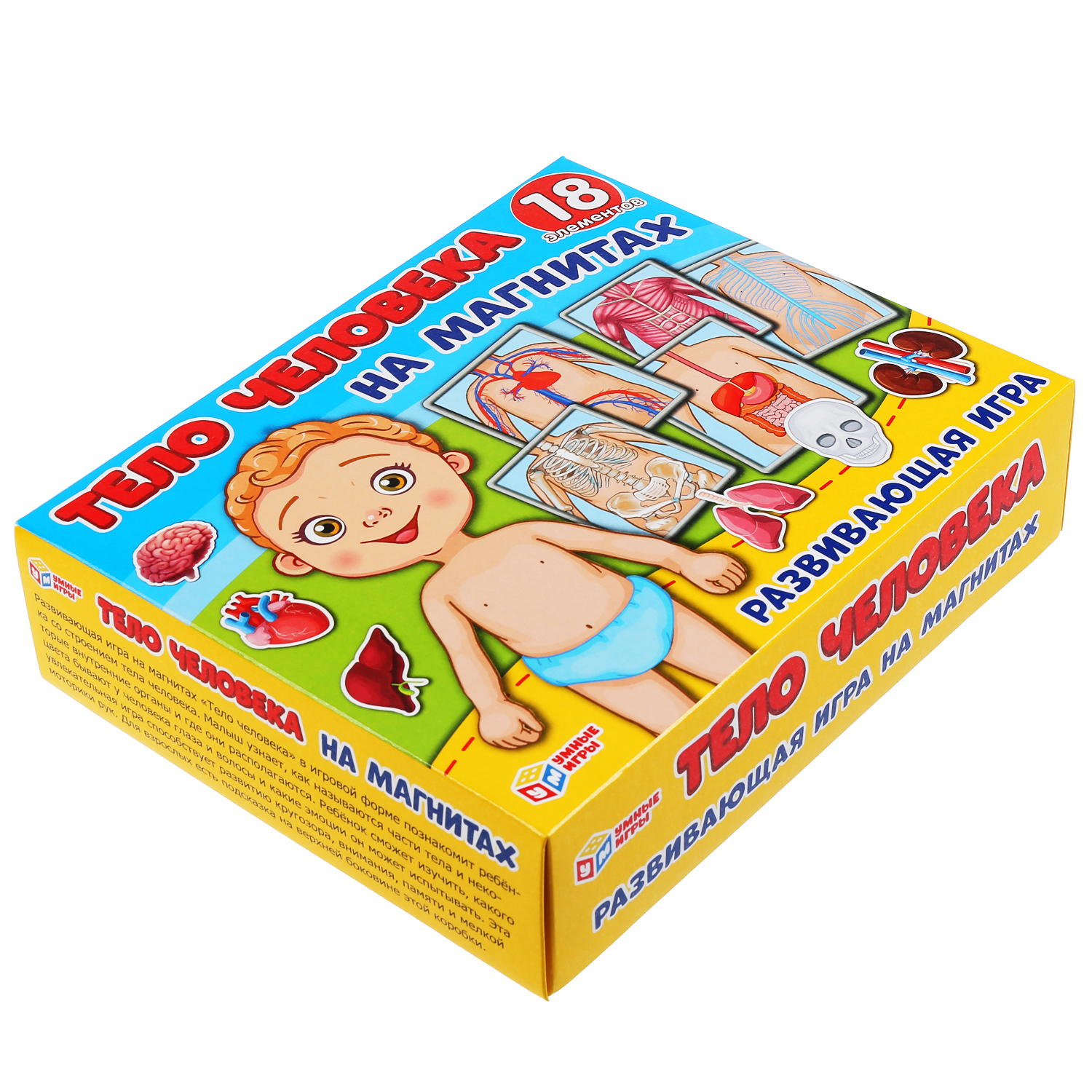 Настольная игра Умные игры Тело человека Одень куклу - фото 6
