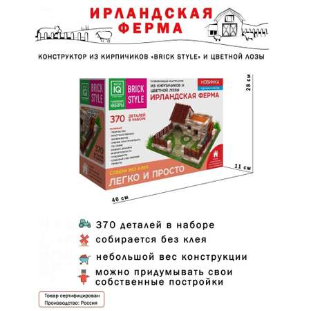 Конструктор Master IQ2 блочный