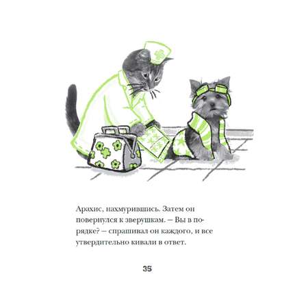 Книга АСТ Щенок Бисквит