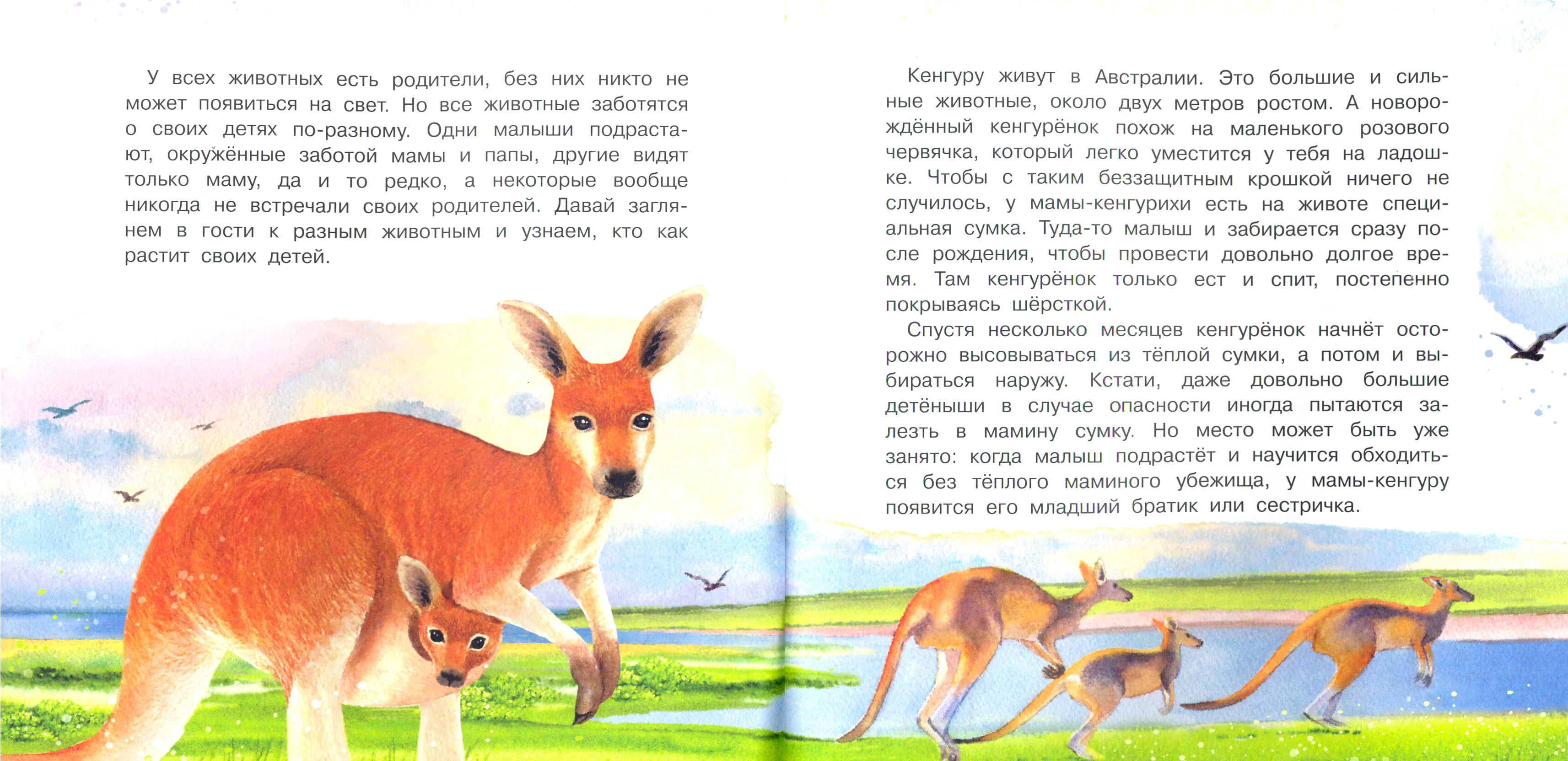 Книга Качели У кого какие детки - фото 5