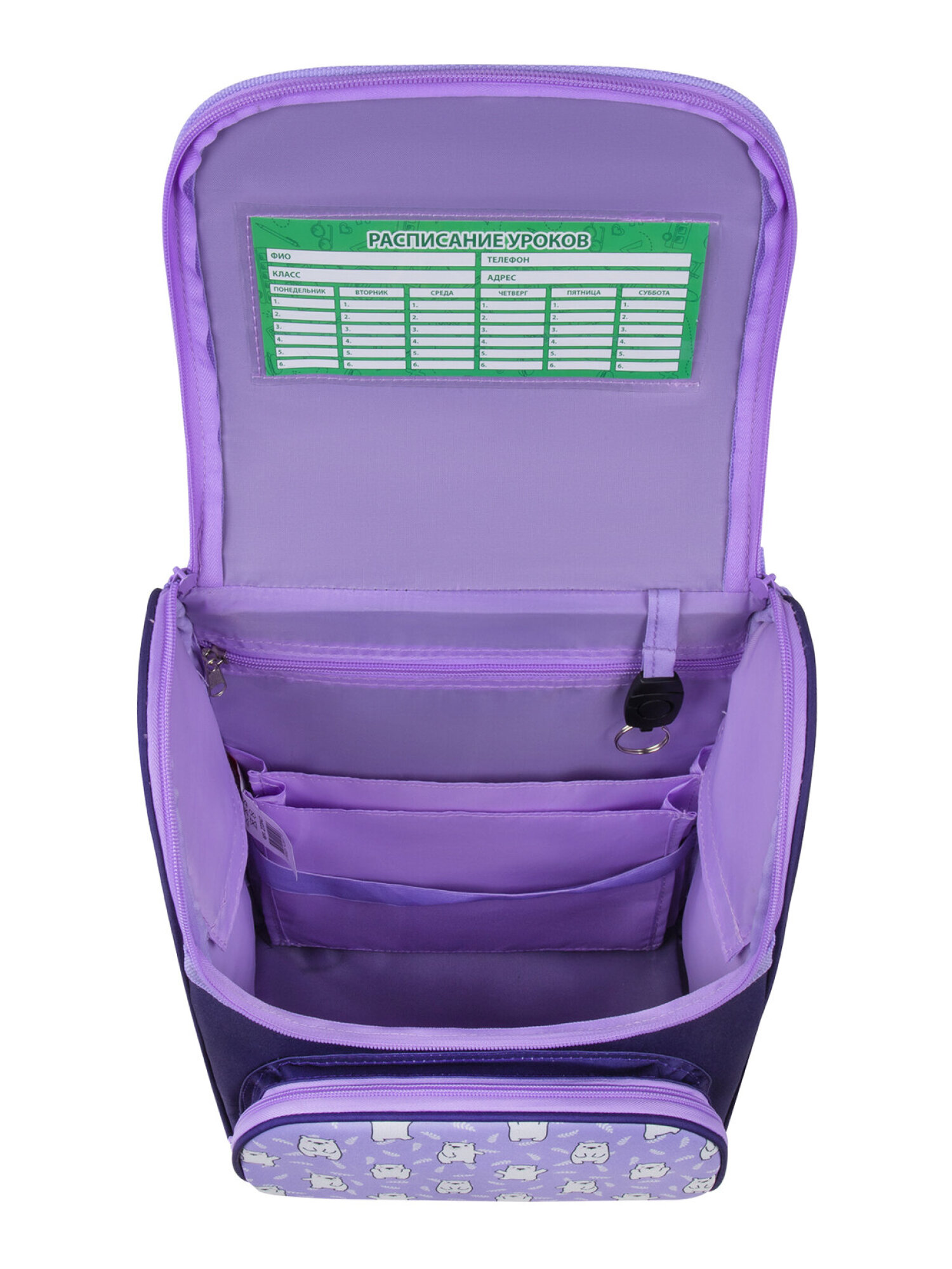 Рюкзак Пифагор - фото 16