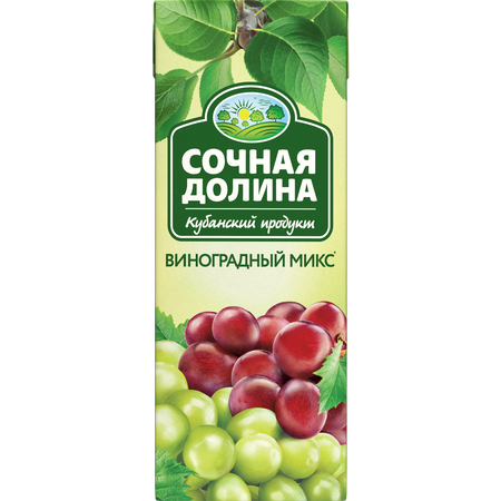 Сокосодержащий напиток Сочная Долина Виноградный МИКС 24 шт х 0.2л