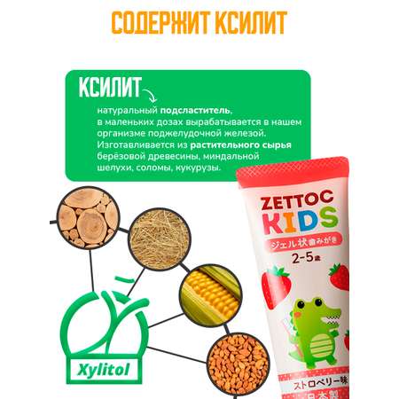 Зубная паста Nippon Zettoc