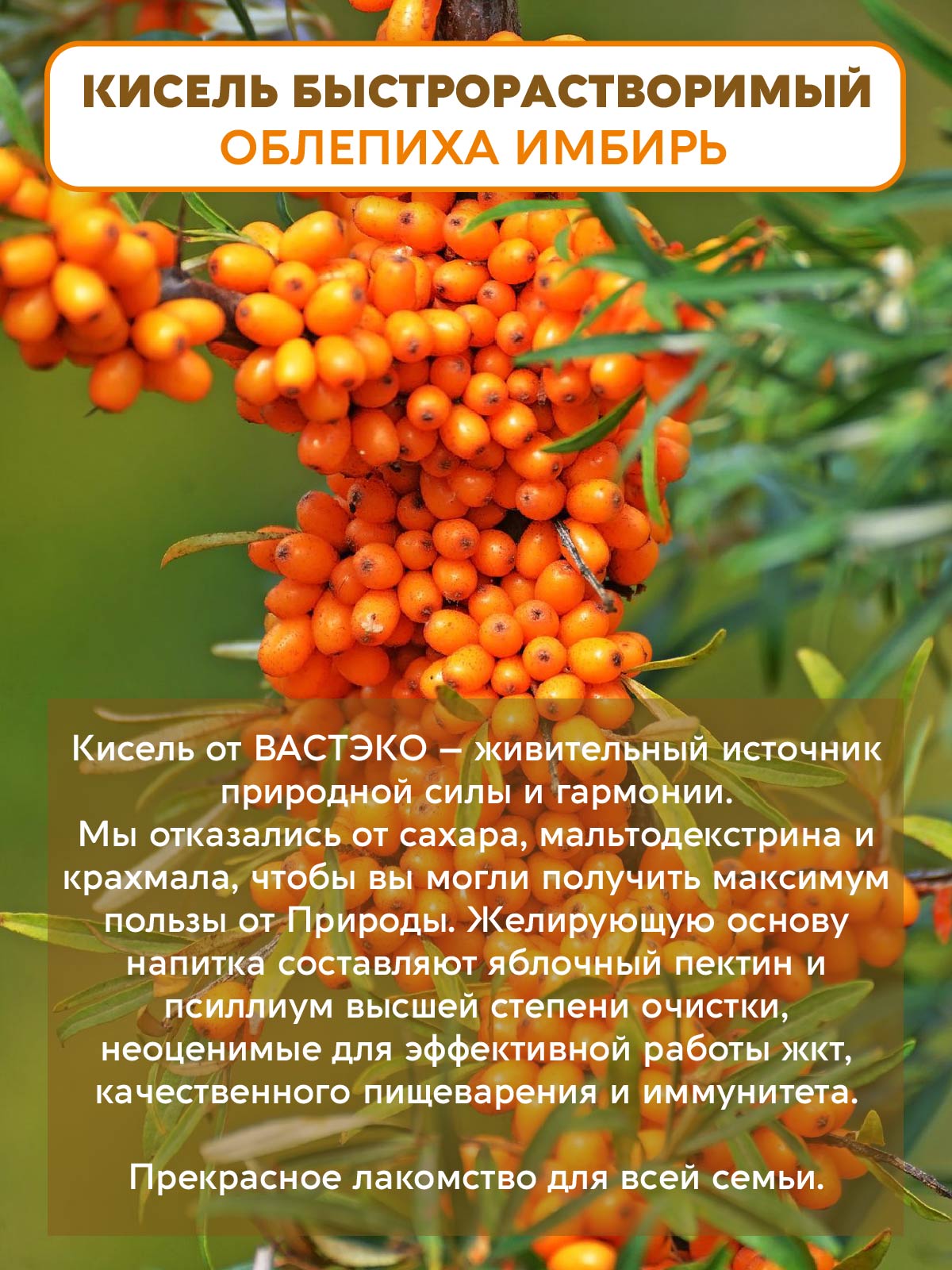 Псиллиум Кисель Вастэко без сахара Облепиха-Имбирь 300г - фото 2