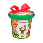 Набор для выращивания Happy Plant