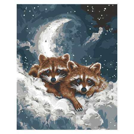 Картина по номерам Hobby Paint Еноты в ассортименте