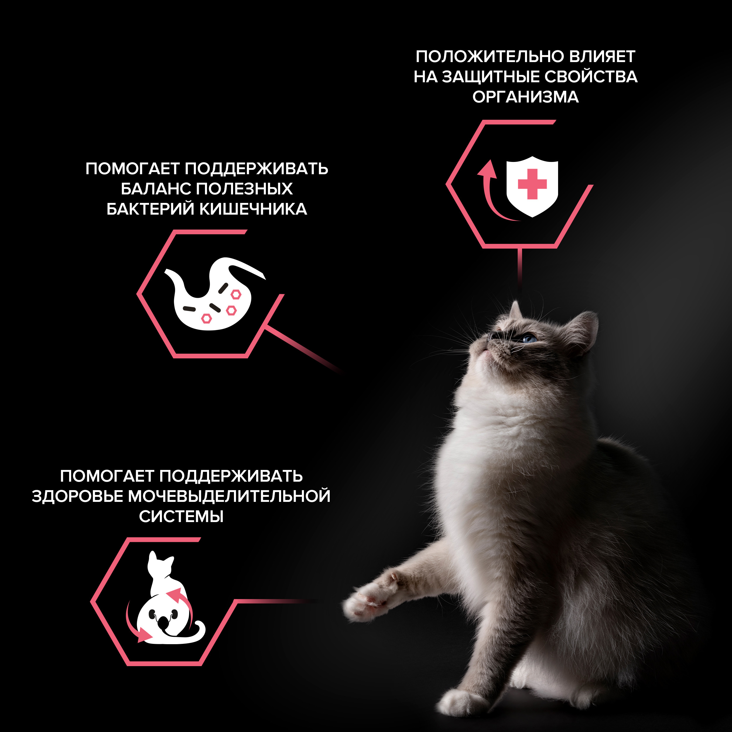 Корм для кошек PRO PLAN Nature Elements стерилизованных курица 1.4кг - фото 3