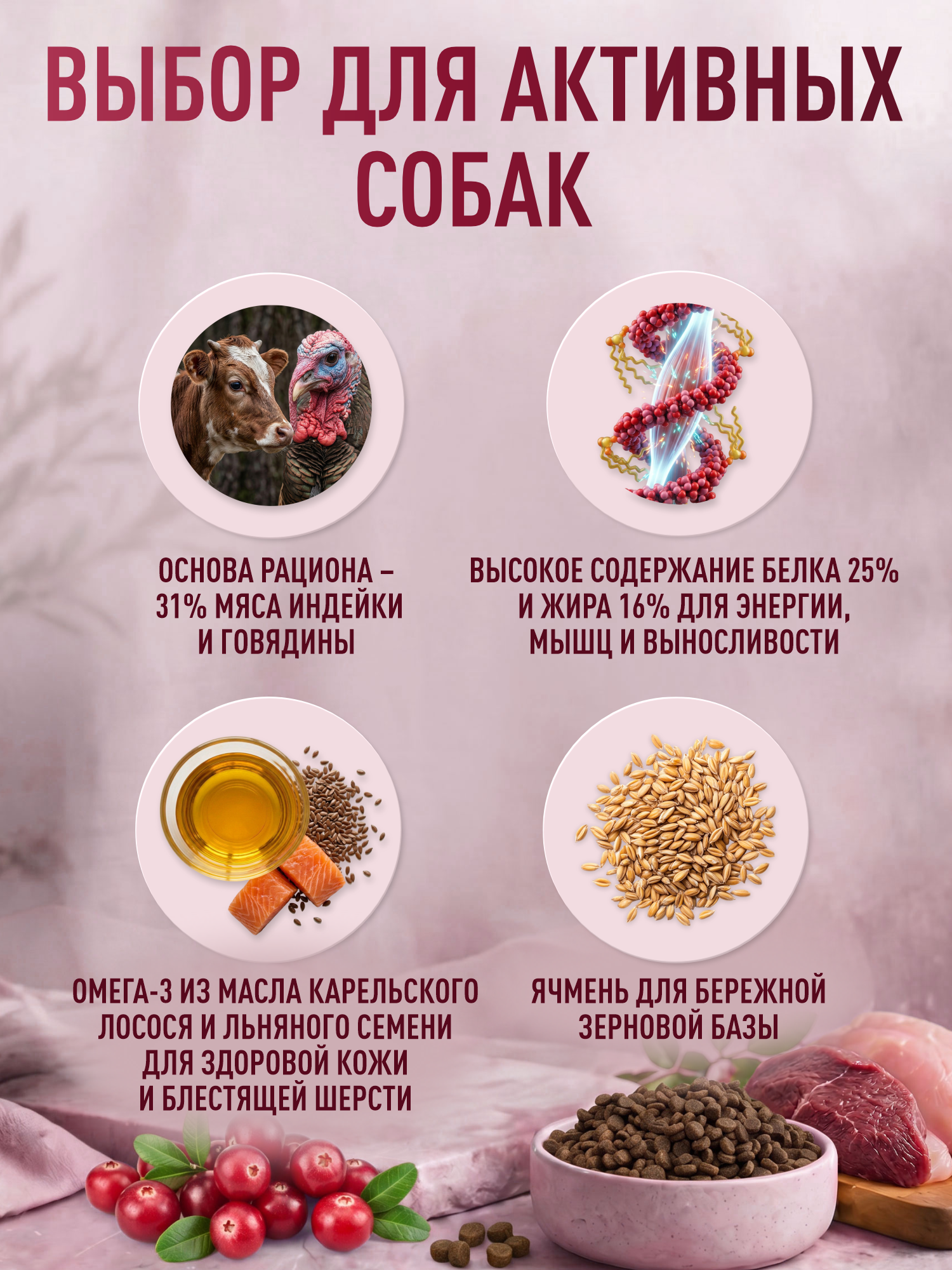 Корм для собак мелких сухой Clan Classic Active 25/16 для активных говядина и индейка 400г - фото 2