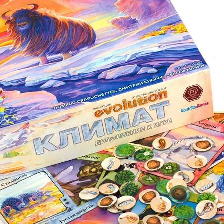 Настольная игра Правильные Игры
