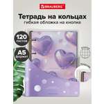 Тетрадь со сменным блоком Brauberg клетка 120 лист.