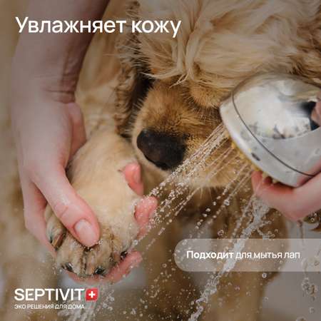 Шампунь для собак SEPTIVIT 1 л