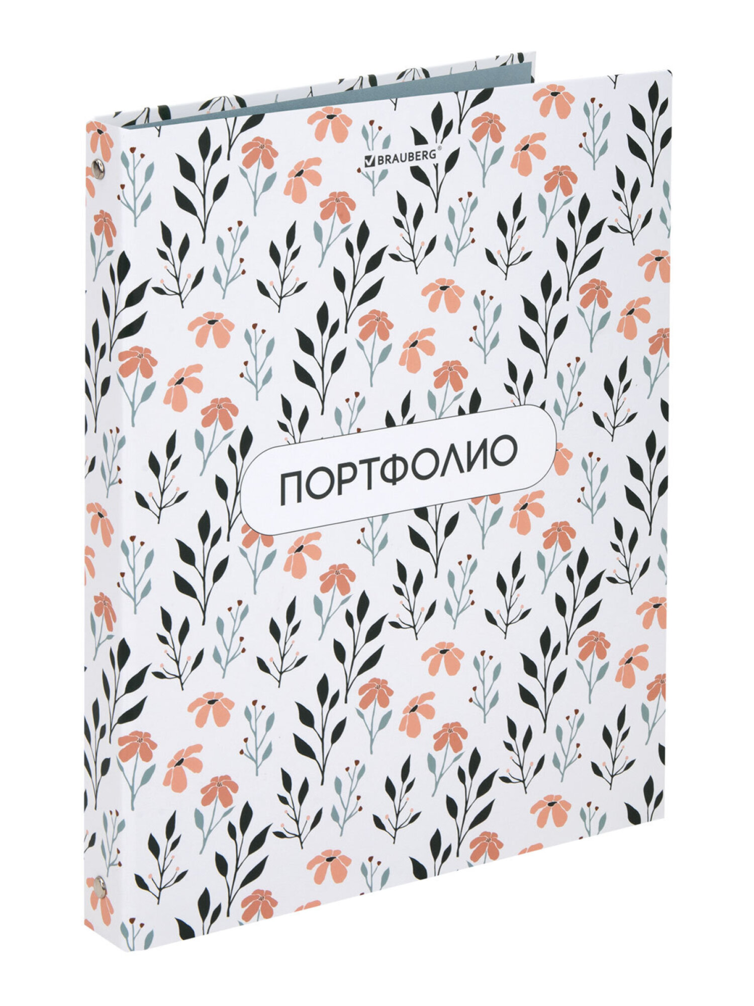Портфолио школьника Brauberg папка А4 на кольцах 20 файлов для девочки и мальчика - фото 6
