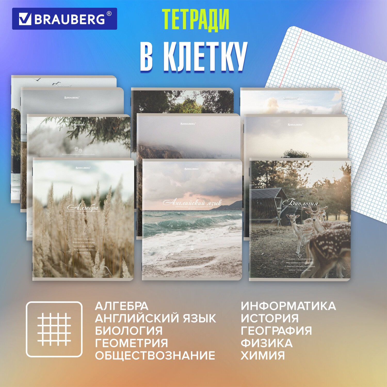 Тетрадь Brauberg 48 лист. 12 шт. - фото 2