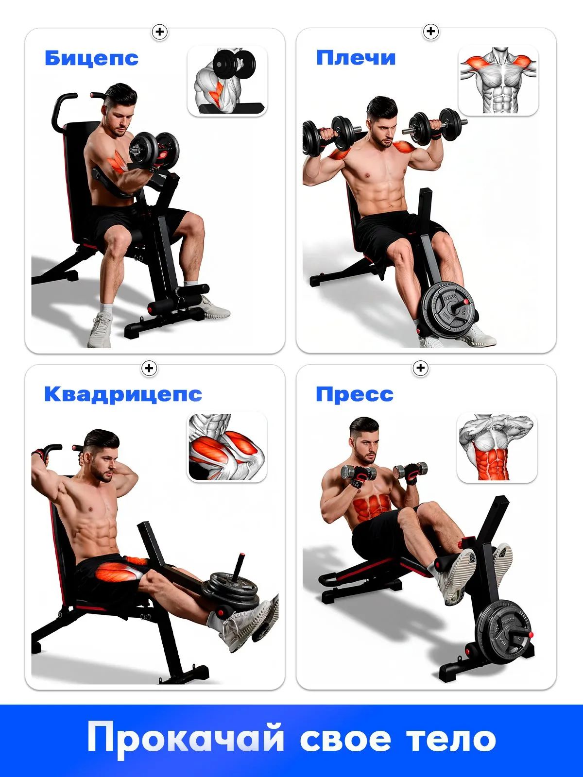 Скамья для жима Fitronix FTX-776 - фото 4