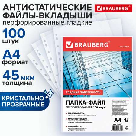 Файл Brauberg А4