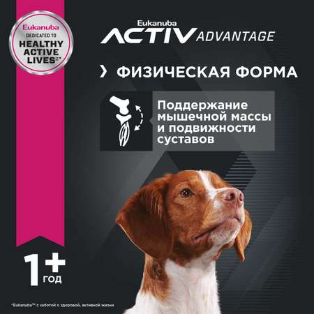 Корм для собак Eukanuba 1кг Dog с ягненком для всех пород
