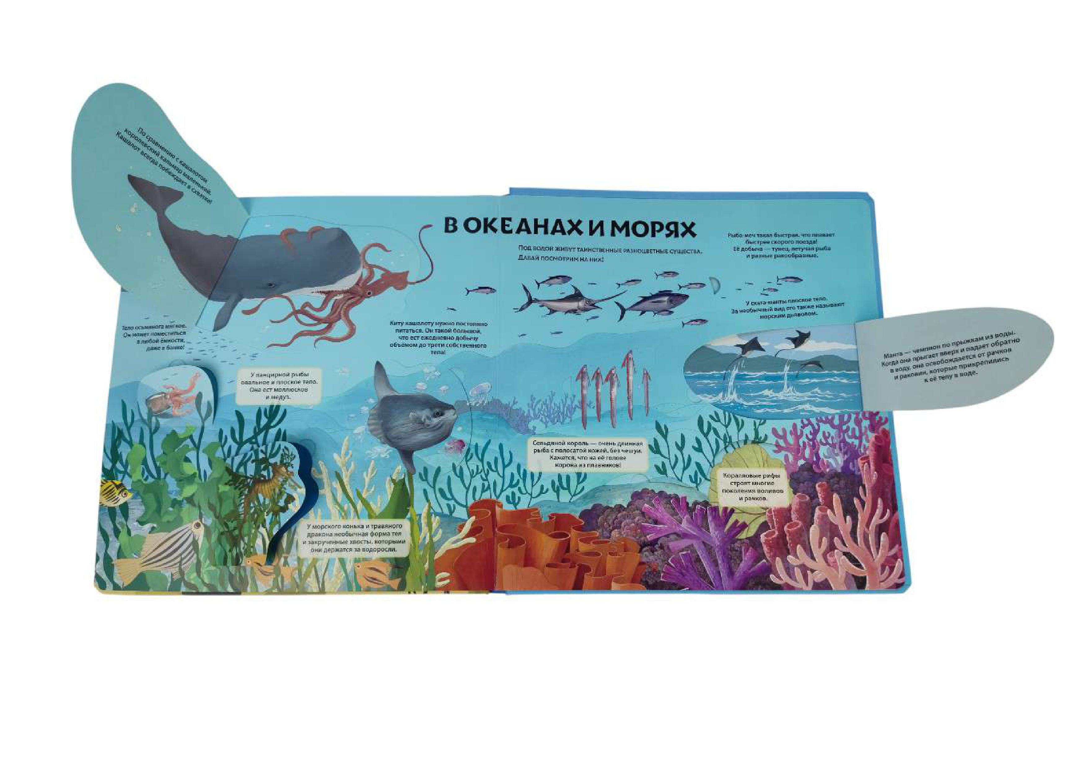 Книга Эксмо Животные и растения Энциклопедия - фото 8