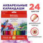 Карандаши акварельные Brauberg 24 шт.