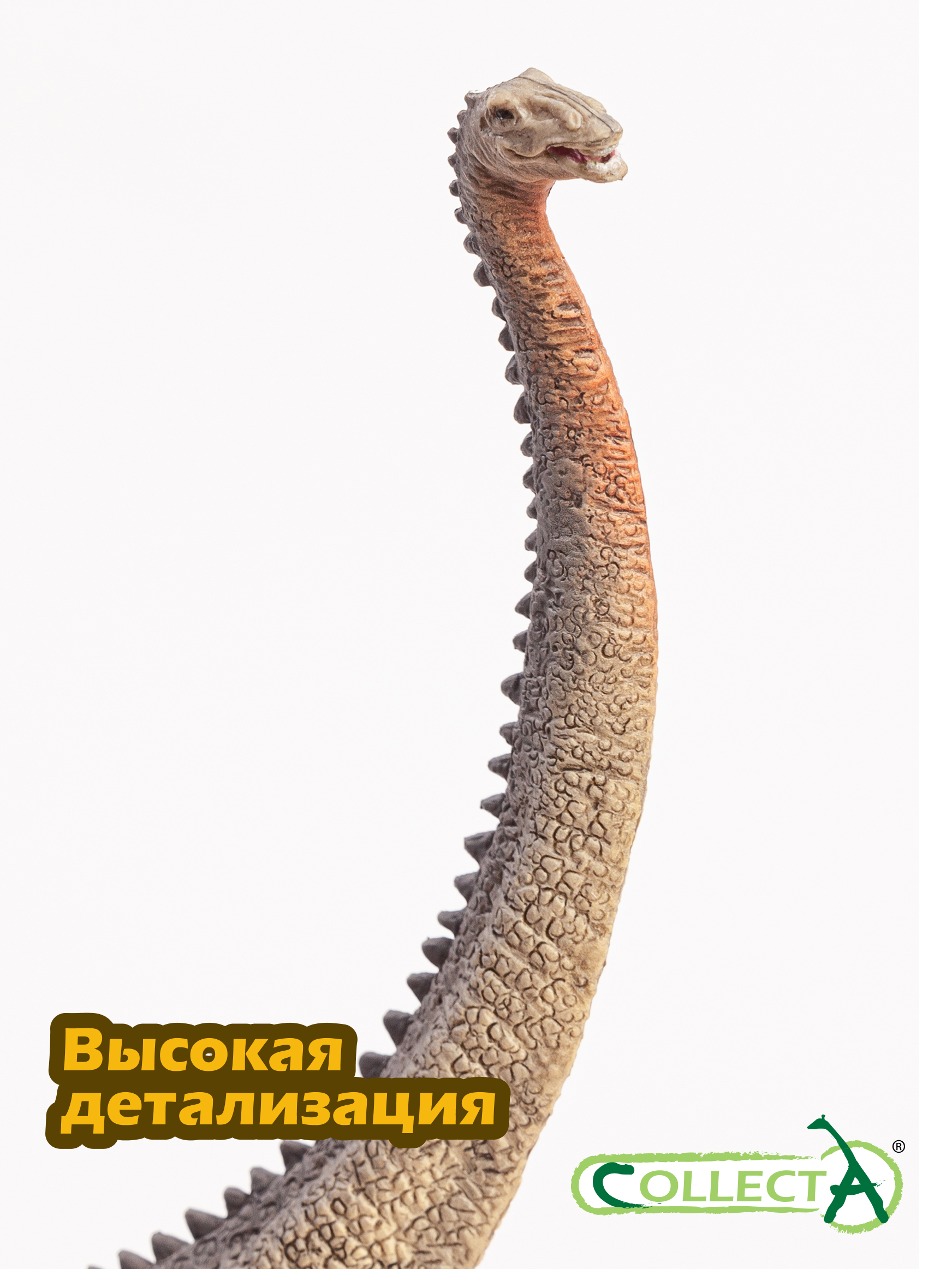 Фигурка Collecta Диплодок серый - фото 3