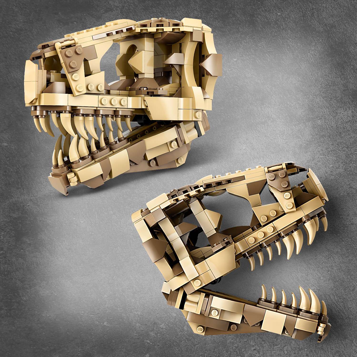 Конструктор LEGO Jurassic World Череп T-Rex 577 дет. - фото 5
