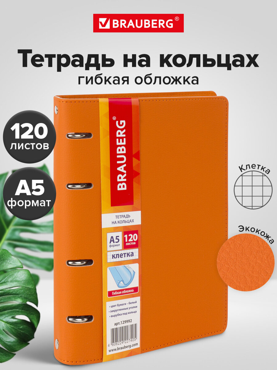 Тетрадь со сменным блоком Brauberg клетка 120 лист. - фото 1