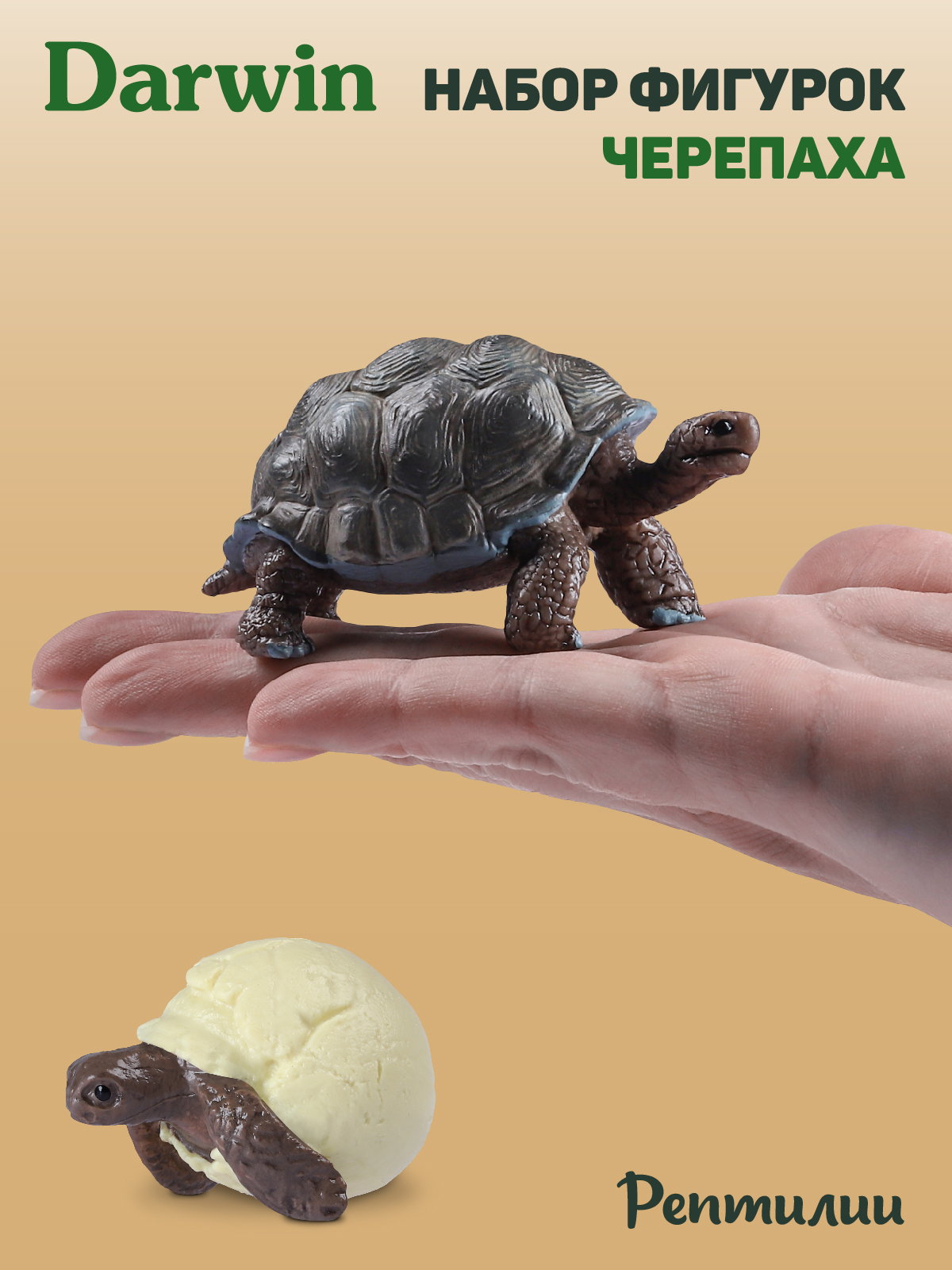 Игровой набор DARWIN Животные Черепаха - фото 2