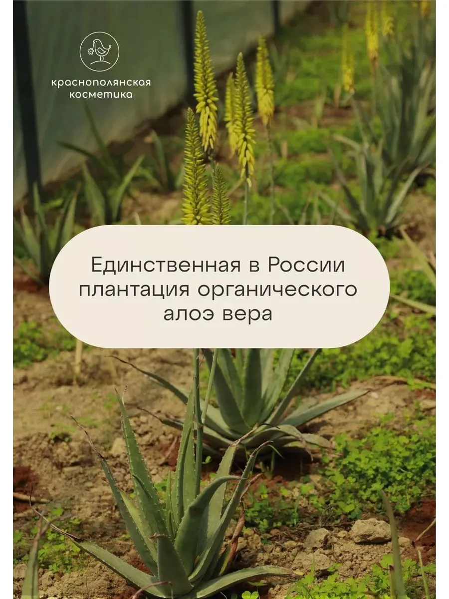 Сыворотка Краснополянская косметика с алоэ вера увлажняющая 30 мл 1 шт. - фото 7