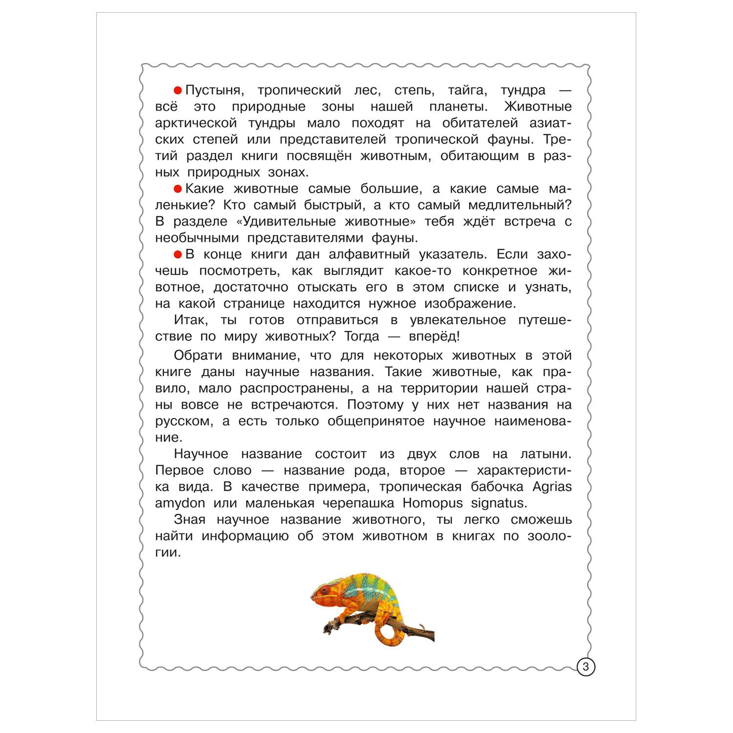 Энциклопедия Все все животные - фото 3