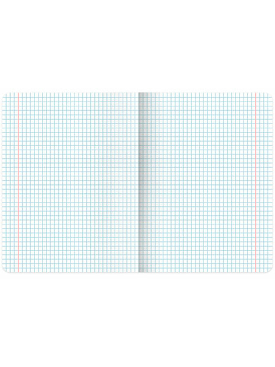 Общая тетрадь Brauberg клетка 24 лист. 10 шт. - фото 4